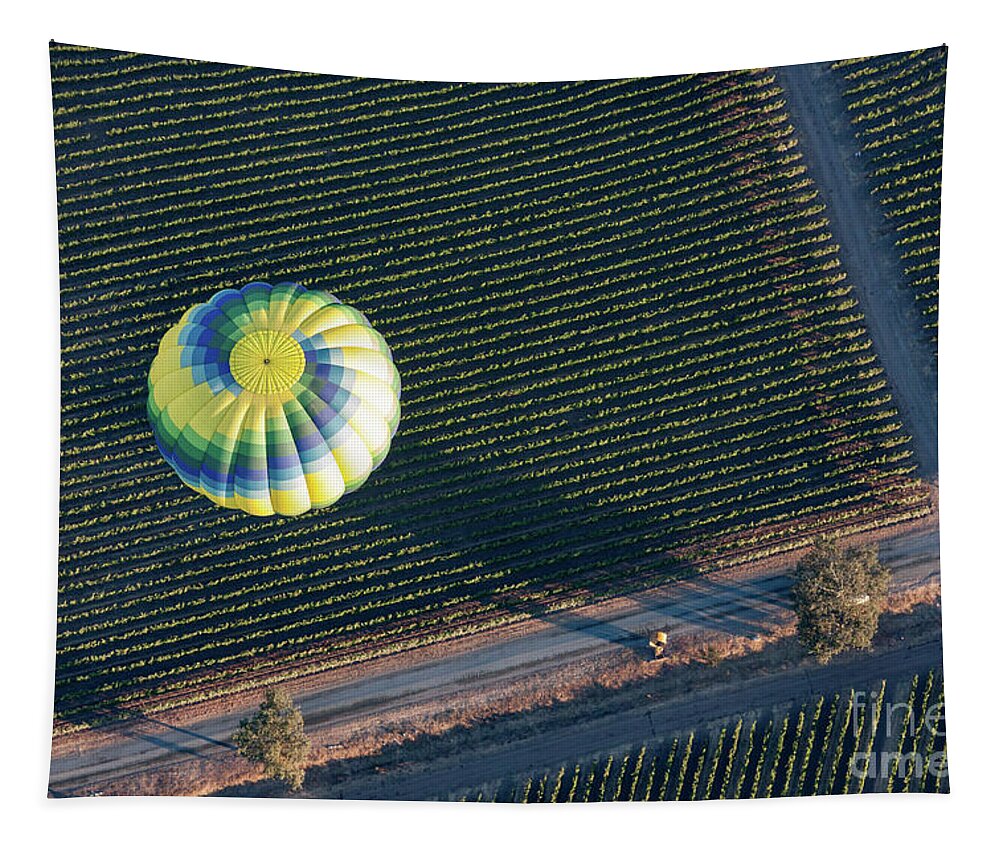 Hot Air Balloon Tapestry featuring the photograph The Landing by Ana V Ramirez