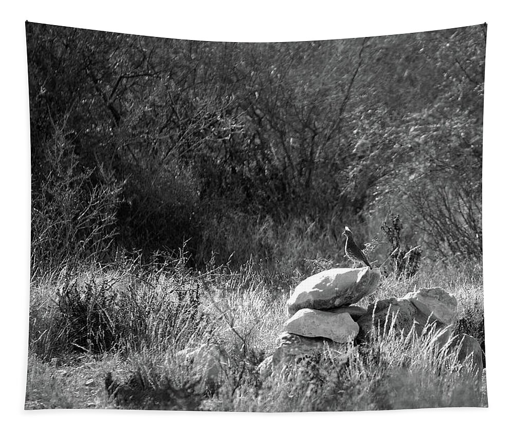 Richard E. Porter Tapestry featuring the photograph The Loner #0620 - Quail, Terrell County, Texas by Richard Porter