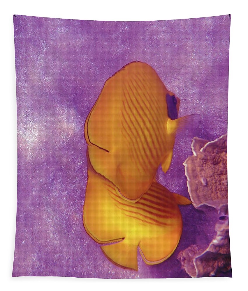 Sea Tapestry featuring the photograph The Masked Butterflyfish Purple by Johanna Hurmerinta