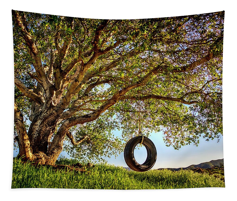 Oak Tree Tapestry featuring the photograph The Old Tire Swing by Endre Balogh