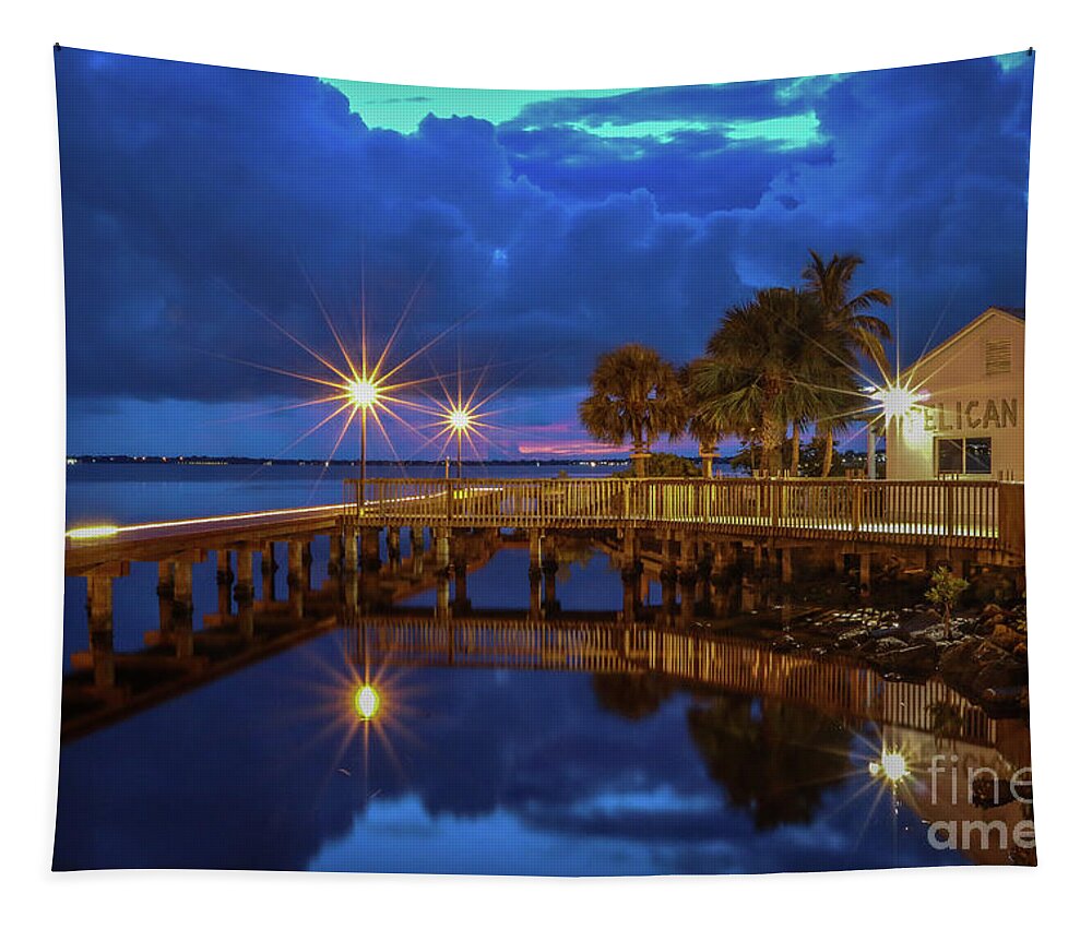 Pelican Tapestry featuring the photograph The Pelican at Night by Tom Claud