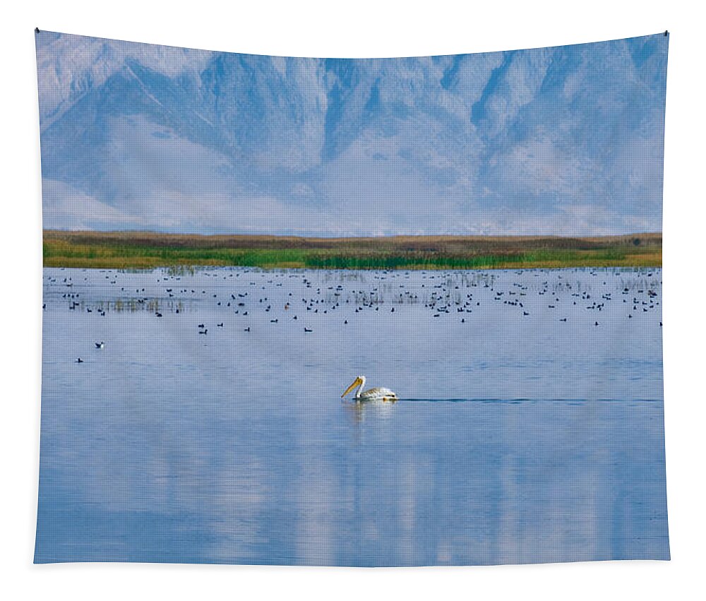 Pelican Tapestry featuring the photograph The Pelican by Kate Hannon