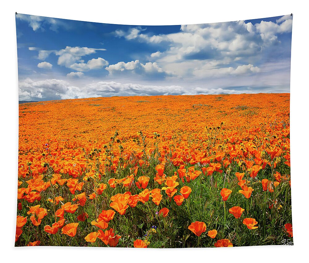 Antelope Valley Poppy Reserve Tapestry featuring the photograph The Poppy Field by Endre Balogh