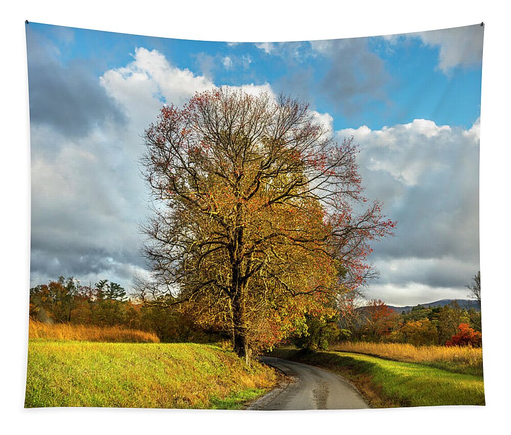 Appalachia Tapestry featuring the photograph The Road to Autumn by Debra and Dave Vanderlaan