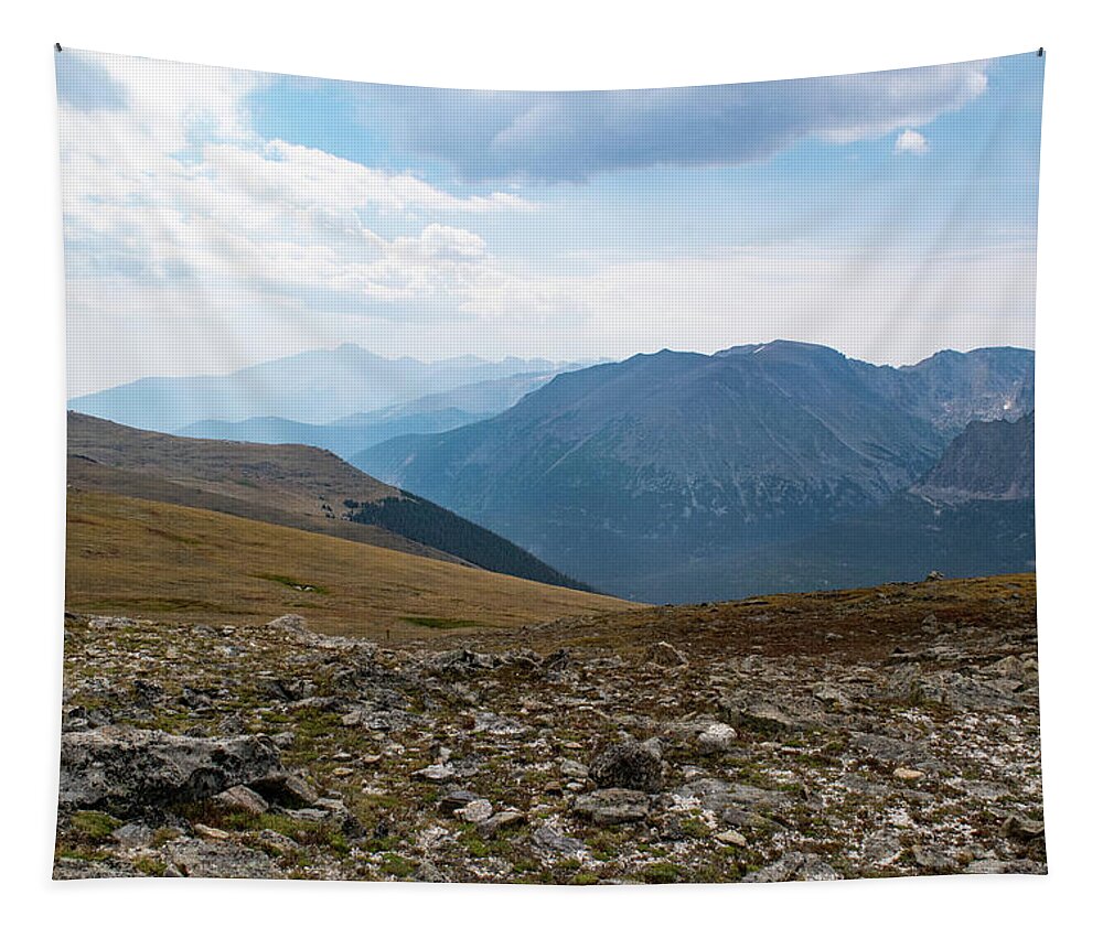 Altitude Tapestry featuring the photograph The Rocky Arctic by Nicole Lloyd