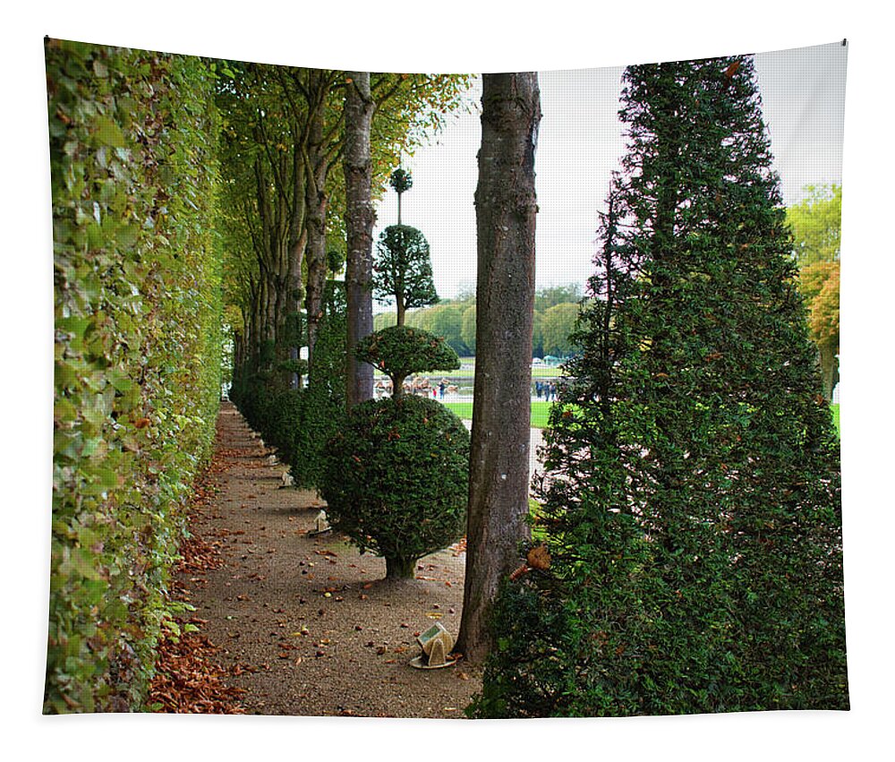 Garden Tapestry featuring the photograph The Royale Alley by Portia Olaughlin