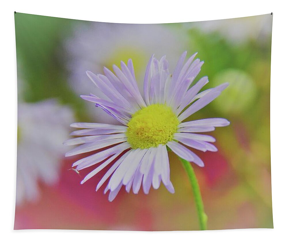 The Softness Of An Ox Eye Daisy Tapestry featuring the photograph The Softness Of An Ox Eye Daisy by Lisa Wooten