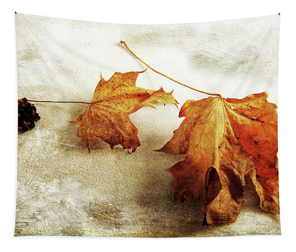 Contemporary Tapestry featuring the photograph The Sound of Autumn by Randi Grace Nilsberg