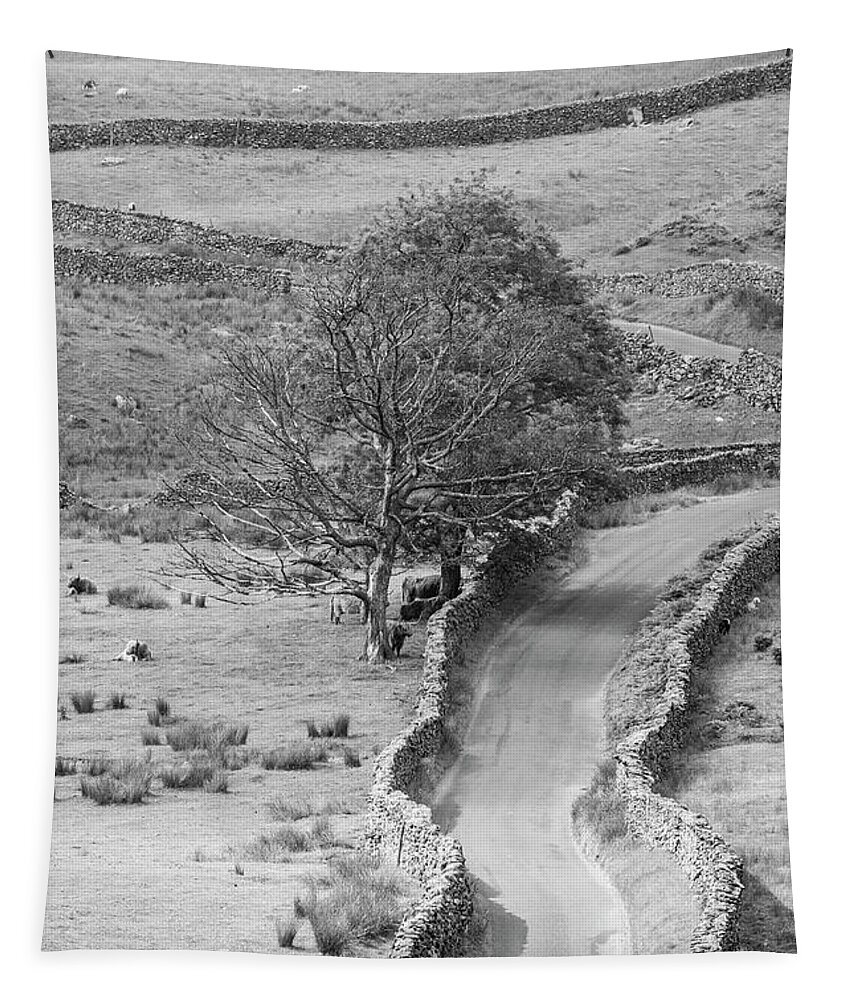 England Country Tapestry featuring the photograph The Struggle in the Lake District UK by John McGraw