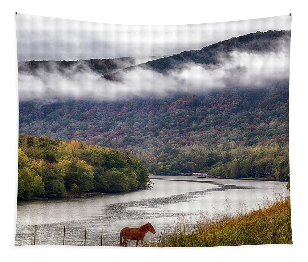 River Tapestry featuring the photograph The Tennessee River Gorge by Susan Rissi Tregoning