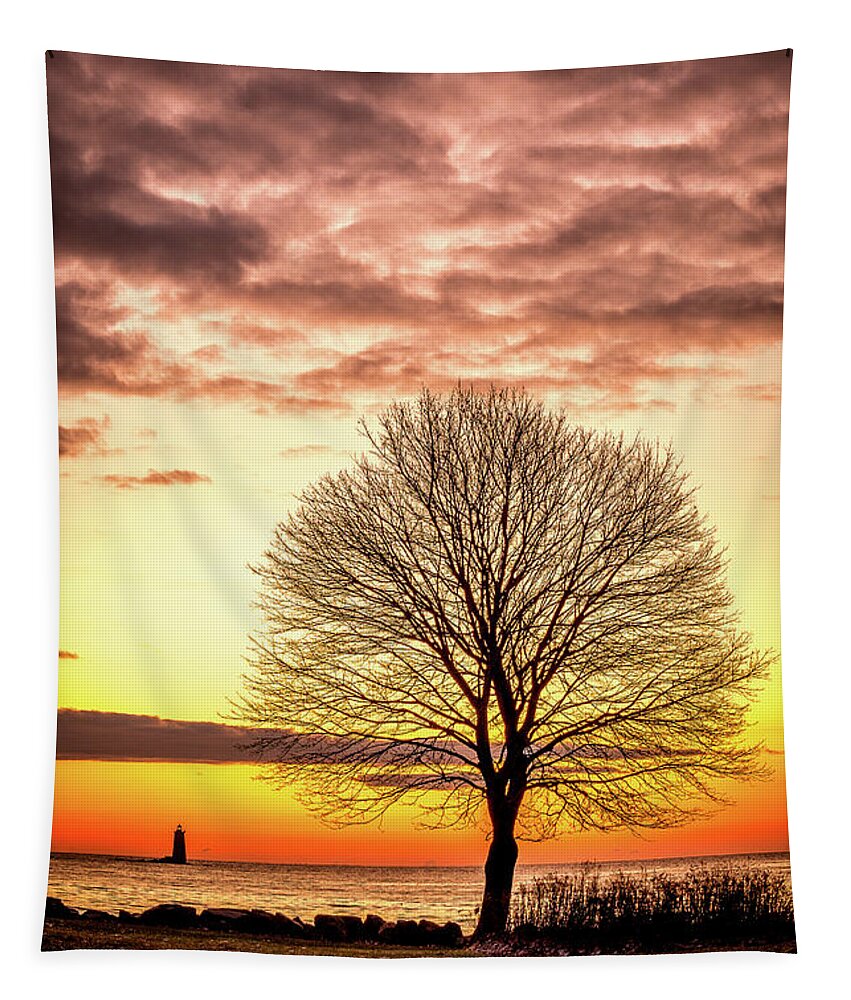 New Hampshire Tapestry featuring the photograph The Tree by Jeff Sinon