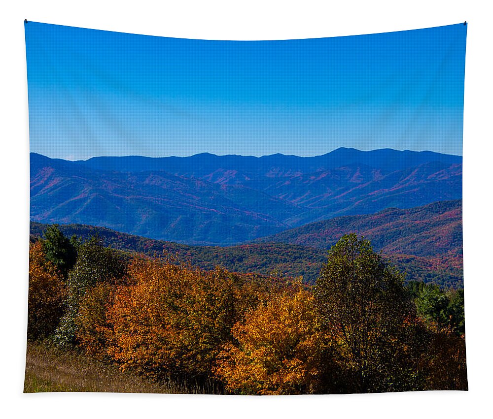 Max Patch Tapestry featuring the photograph The View from Max Patch Mountain in the Fall by L Bosco
