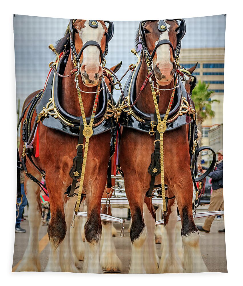 Budweiserclydesdales Tapestry featuring the photograph This Buds For You by JASawyer Imaging