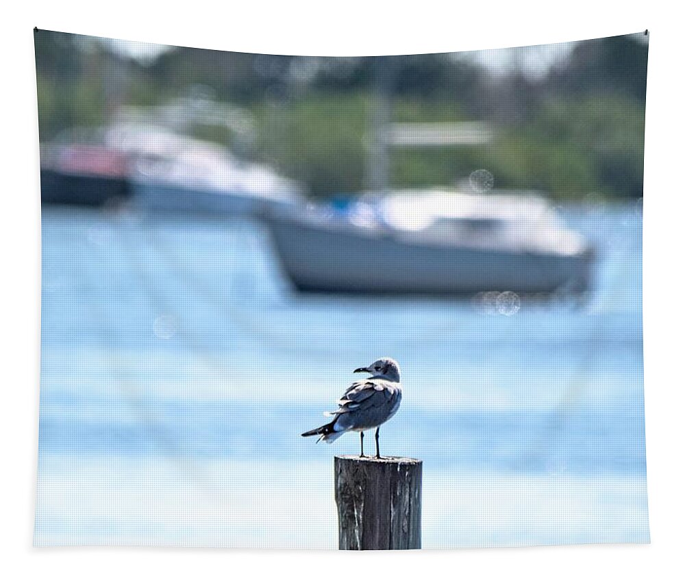 Laughing Gull Tapestry featuring the photograph This is Florida by Mary Ann Artz