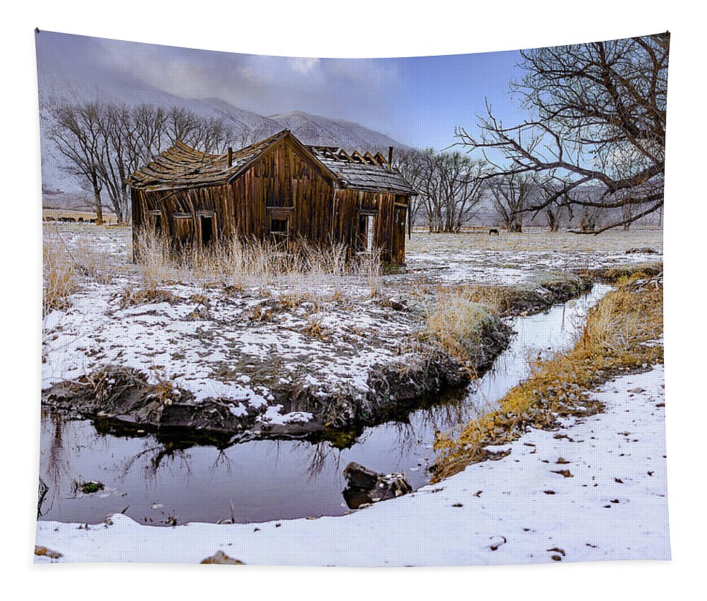 Old House Tapestry featuring the photograph This Old House by Don Hoekwater Photography