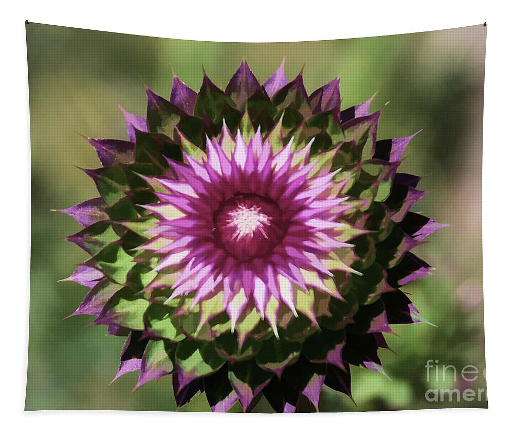 Fine Art Tapestry featuring the photograph Thistle Flower Painting by Donna Greene