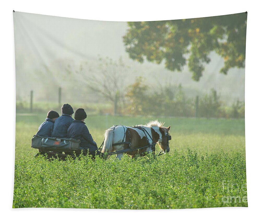 Amish Tapestry featuring the photograph Three Amish Brothers by David Arment