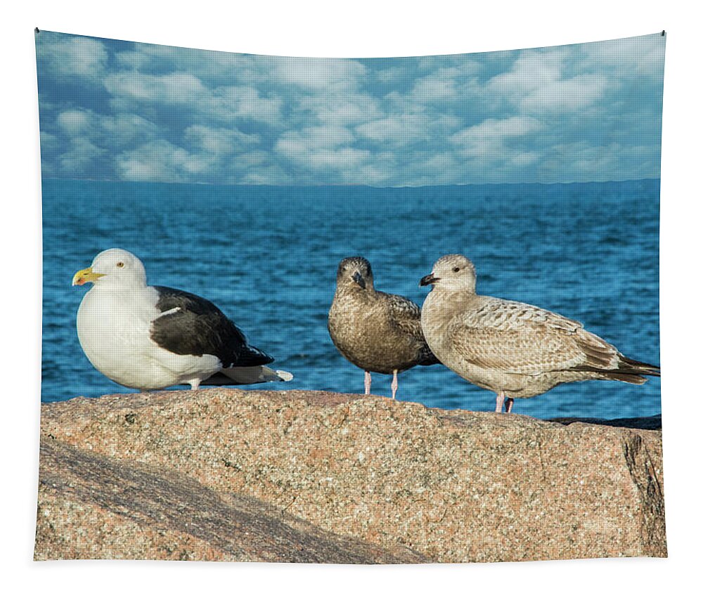Gulls Tapestry featuring the photograph Three On The Rocks by Cathy Kovarik