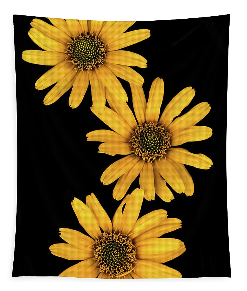 Yellow Tapestry featuring the photograph Three Sunflowers by Jeff Phillippi