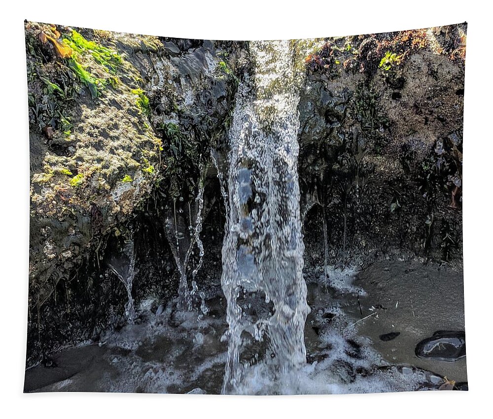 Water Tapestry featuring the photograph Tidal Falls by Misty Morehead