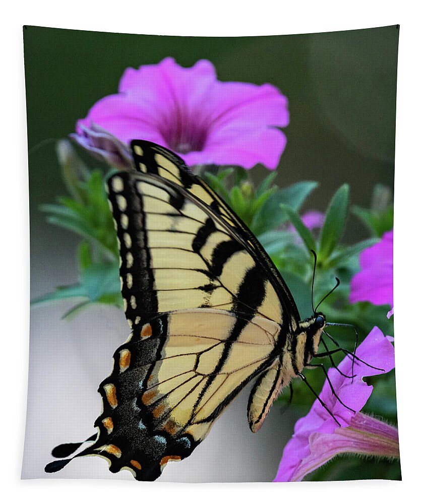 Eastern Tiger Swallowtail Tapestry featuring the photograph Tiger Beauty by Jody Partin