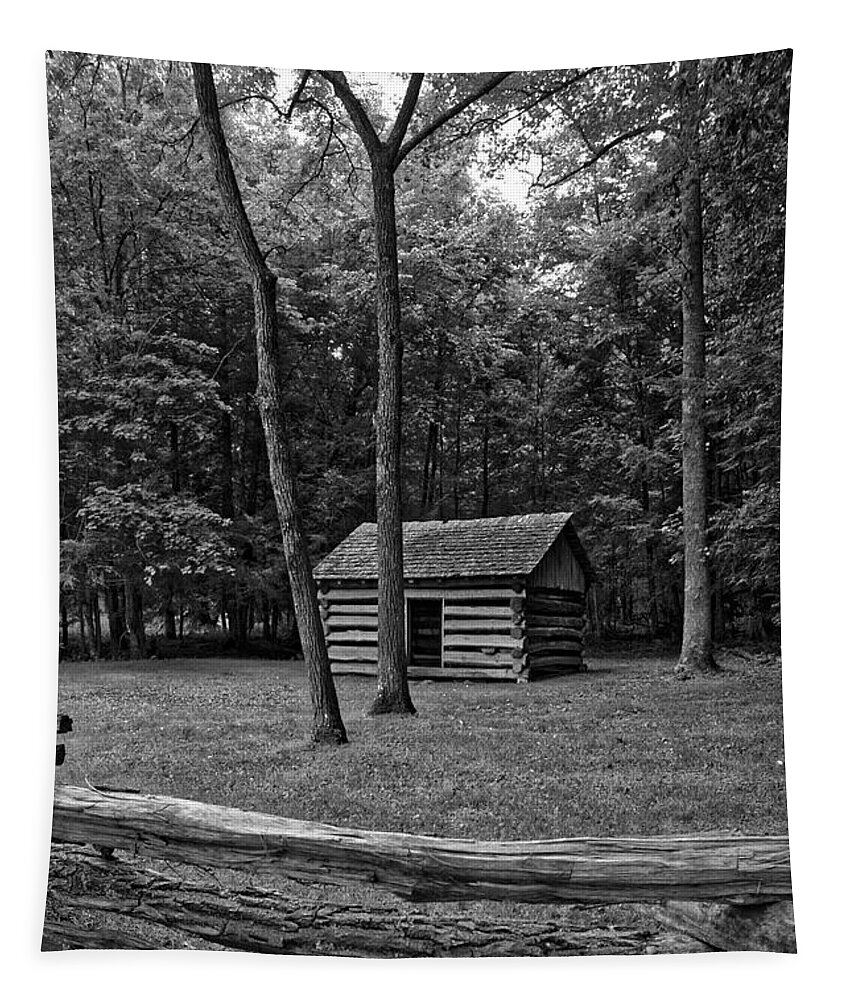 Cades Cove Tapestry featuring the photograph Tipton Place by Nunweiler Photography