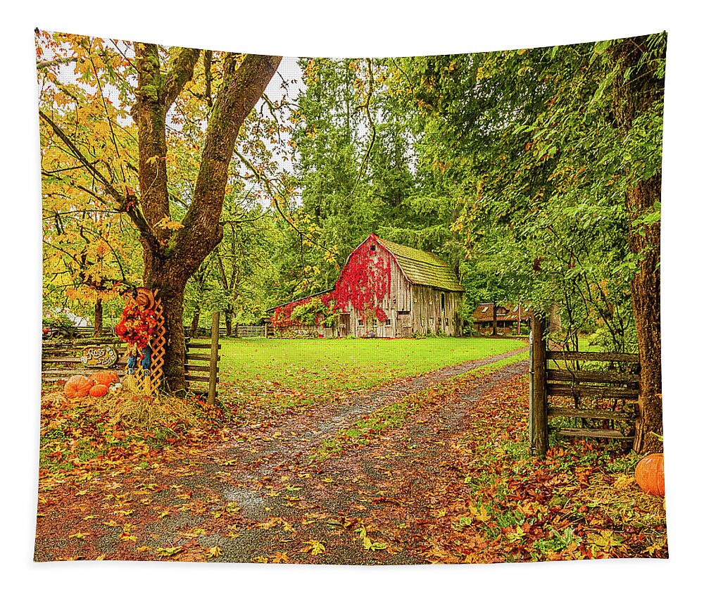 Landscapes Tapestry featuring the photograph Tis The Season by Claude Dalley