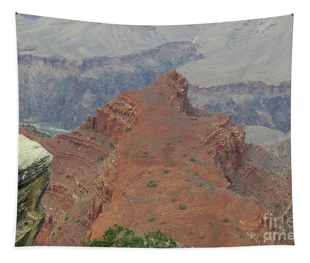 Nature Tapestry featuring the photograph To The Edge by Mary Mikawoz