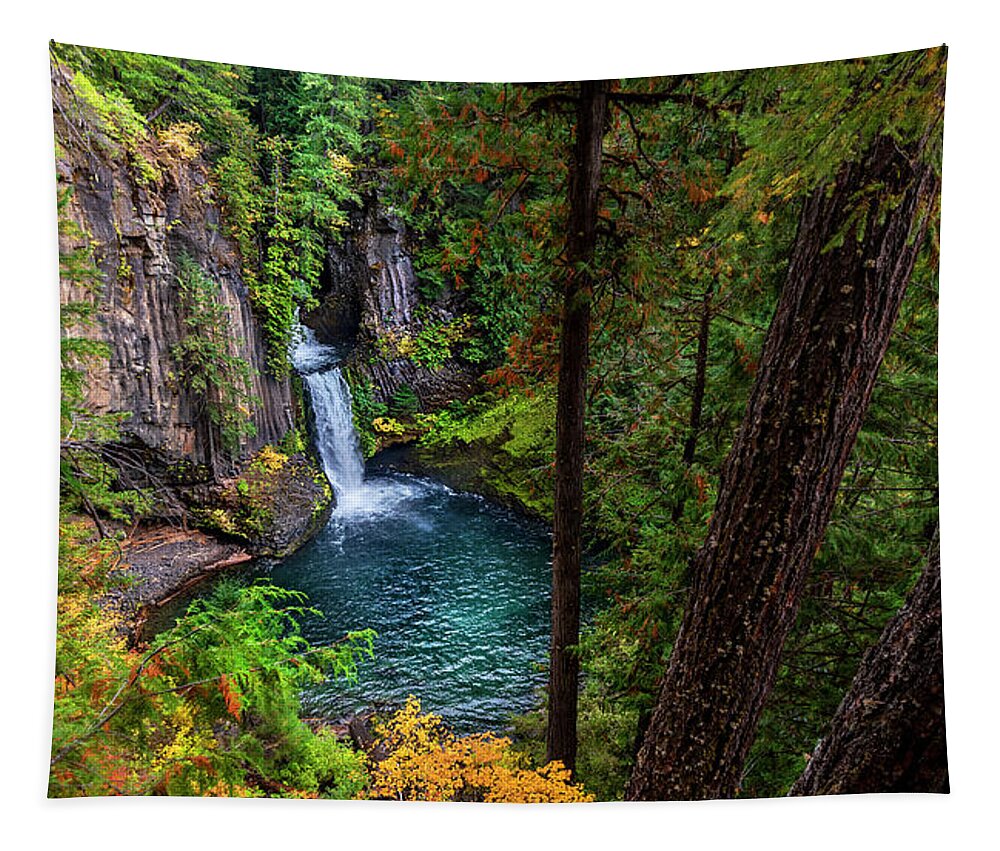 Toketee Falls Tapestry featuring the photograph Hidden Treasure by John Poon