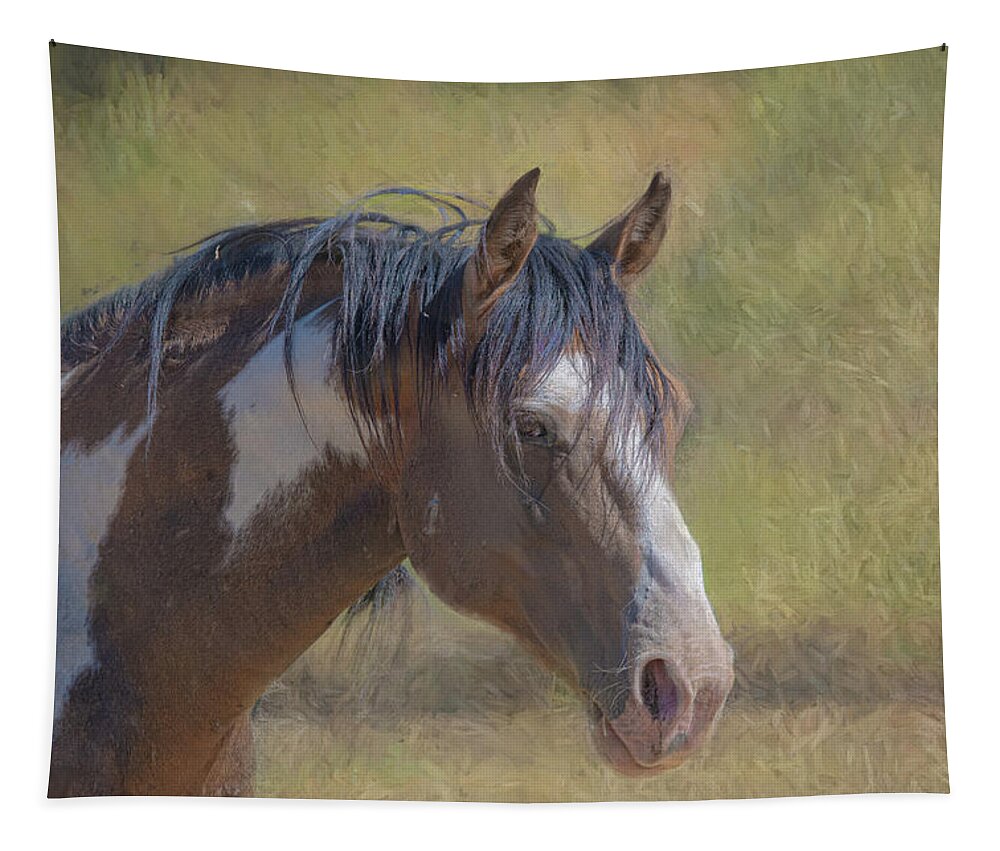 Wild Horse Tapestry featuring the photograph TomaHawk by Patricia Dennis