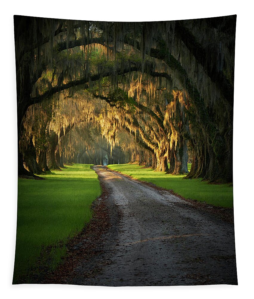 Plantation Tapestry featuring the photograph Tomotley Plantation by Jon Glaser