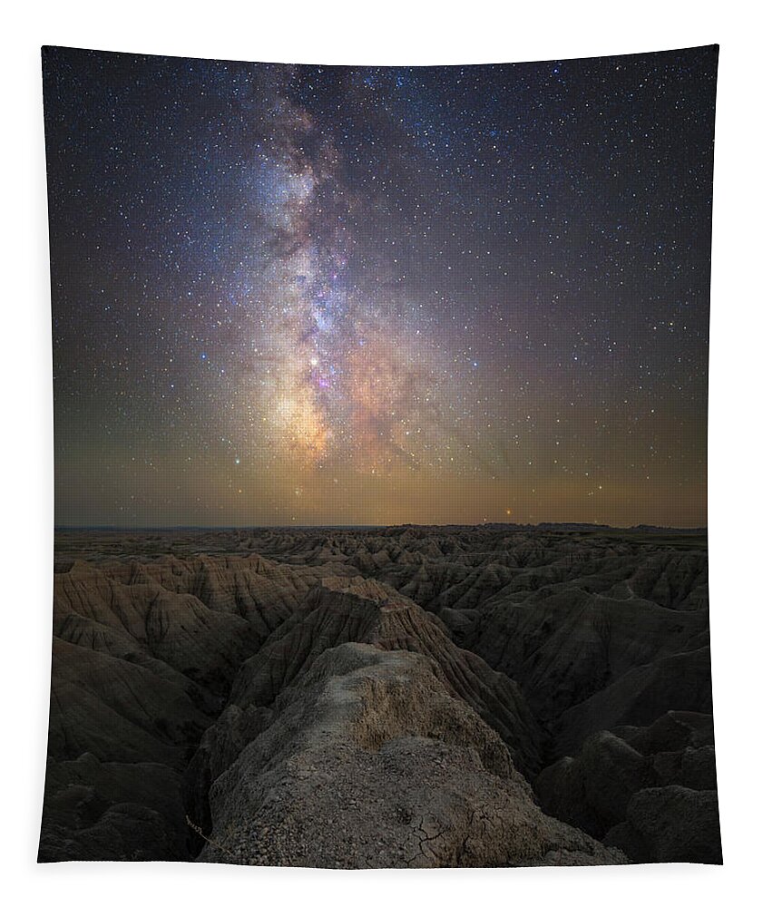 Badlands Tapestry featuring the photograph Too much to think by Aaron J Groen