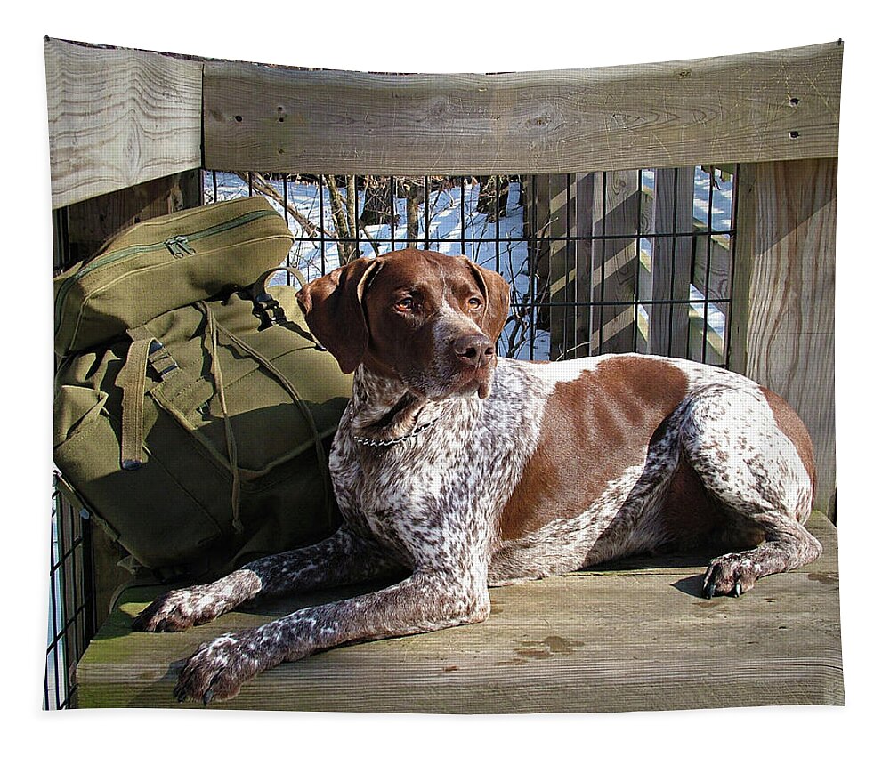 German Shorthair Tapestry featuring the photograph Trail Companion - GSP by Jayson Tuntland