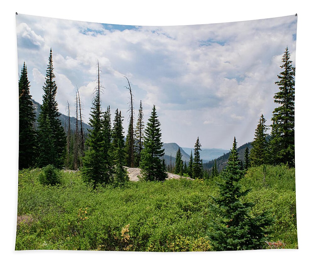 Mountain Tapestry featuring the photograph Trail to Gilpin Lake by Nicole Lloyd