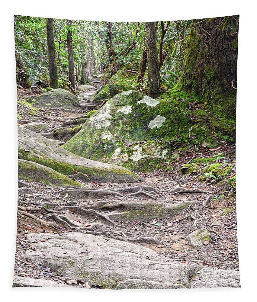 Ramsey Cascades Tapestry featuring the photograph Trail To Ramsey Cascades by Phil Perkins