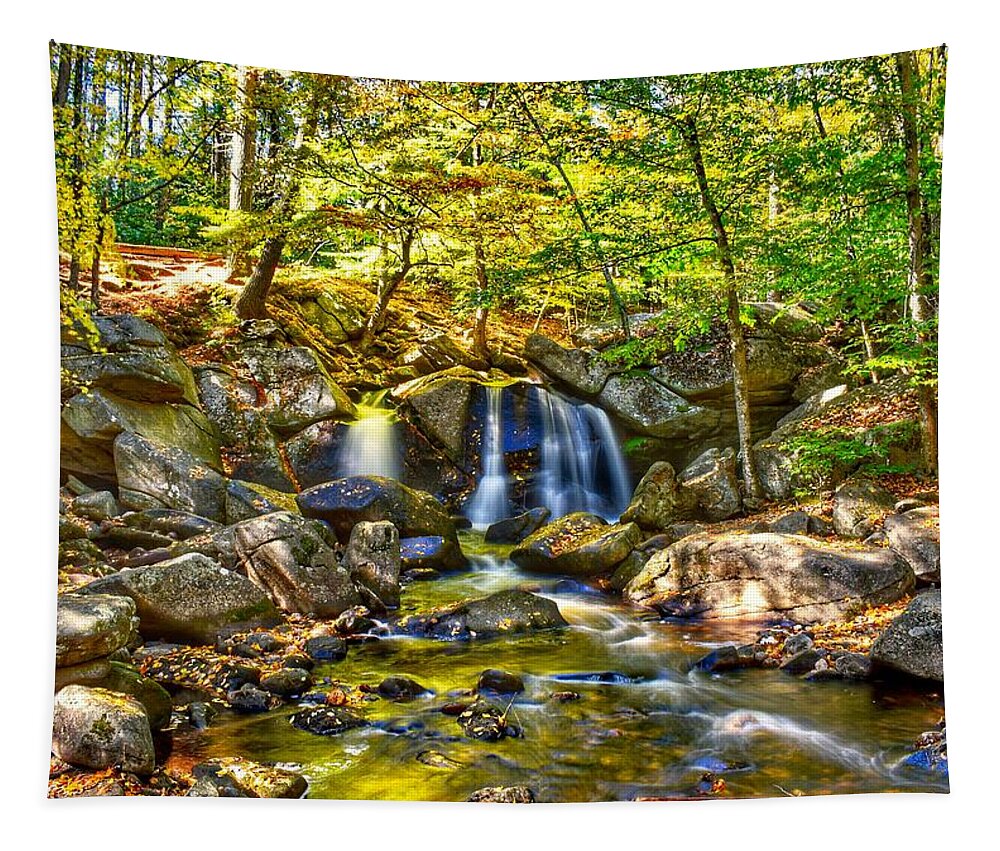 Landscape Tapestry featuring the photograph Trap Falls by Monika Salvan