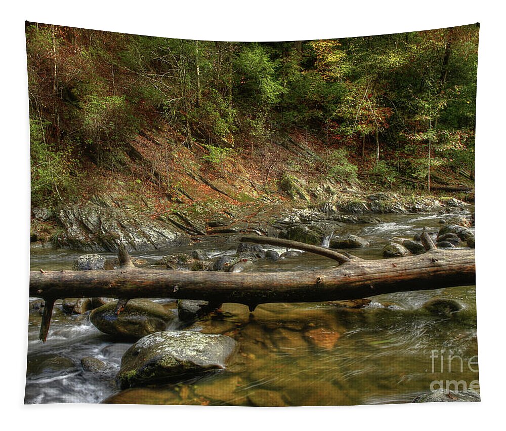 Tree Tapestry featuring the photograph Tree Across The River by Mike Eingle