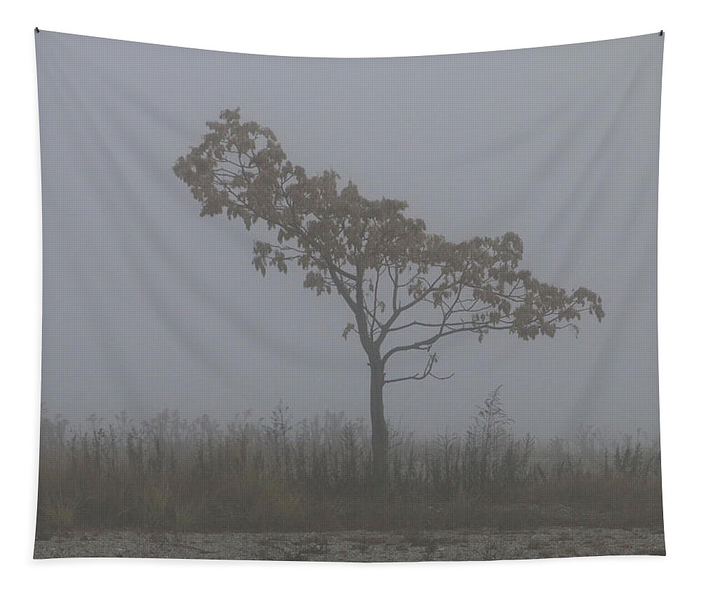 Tree Tapestry featuring the photograph Tree in Fog by William Selander