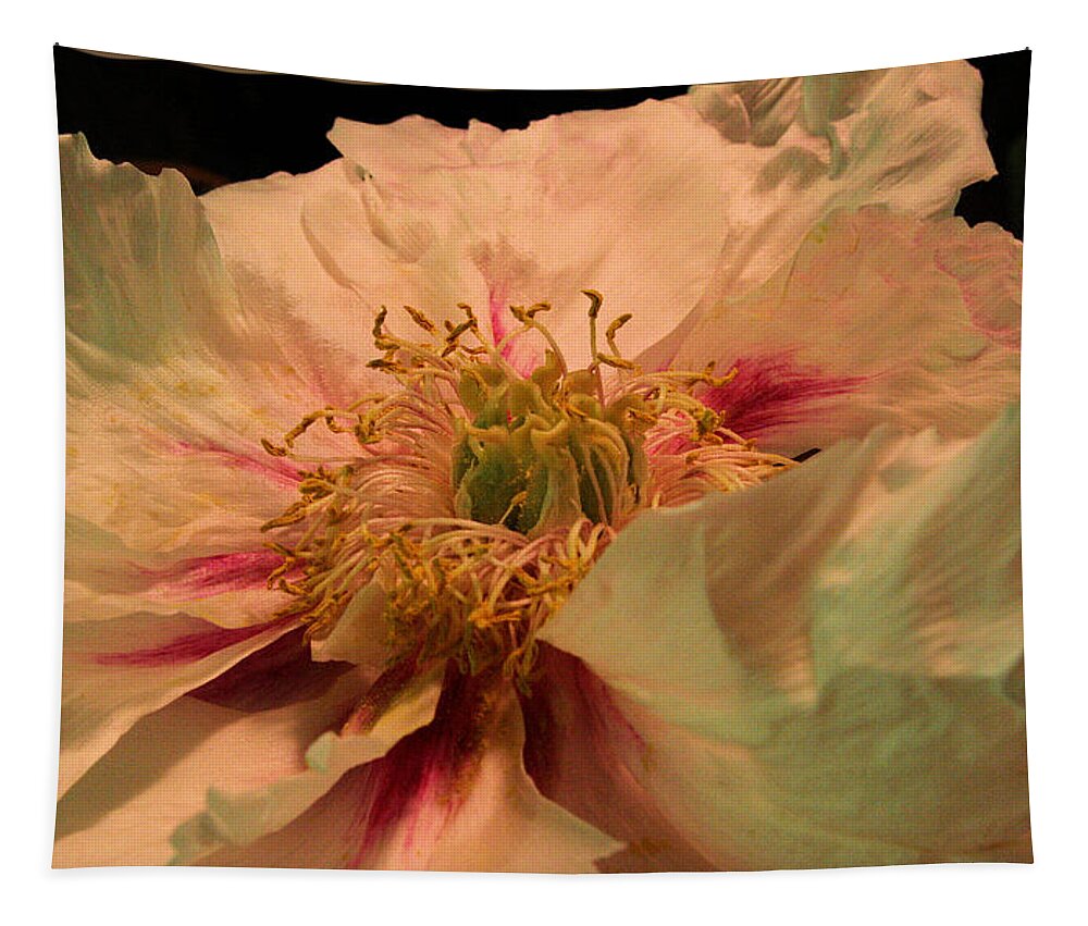 Tree Peony Tapestry featuring the photograph Tree Peony by Patricia Overmoyer