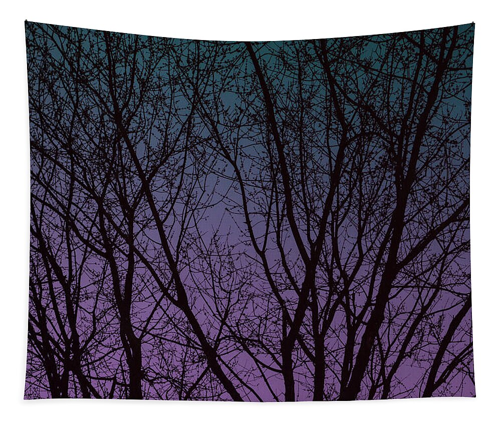 Trees Tapestry featuring the digital art Tree Silhouette Against Blue and Purple by Jason Fink