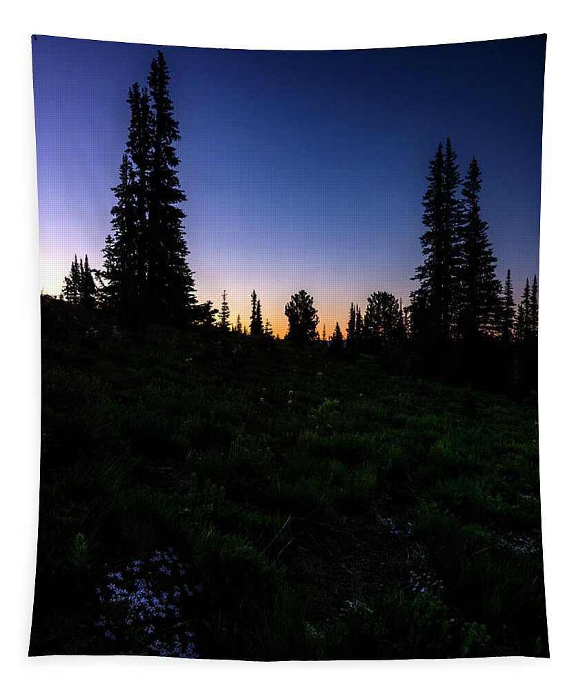 Tree Tapestry featuring the photograph Tree Silhouette Sunrise 2 by Pelo Blanco Photo