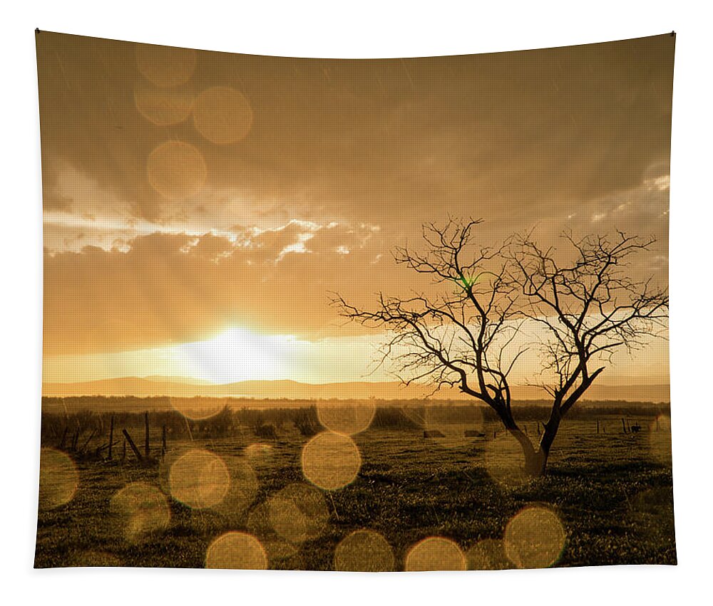 Sunset Tapestry featuring the photograph Tree Sunset by Wesley Aston