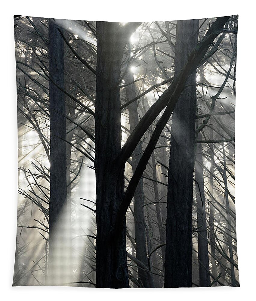 Fog Tapestry featuring the photograph Trees and Fog by Janet Kopper