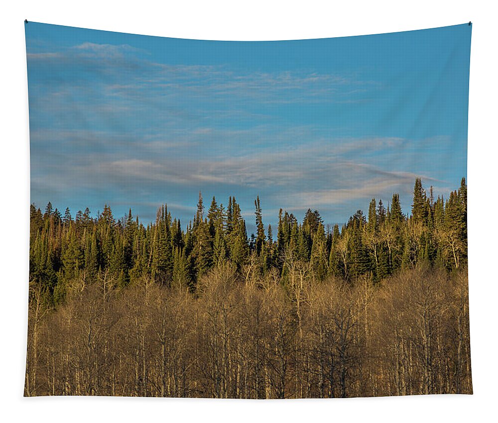 Trees Tapestry featuring the photograph Treescape, Wyoming by Julieta Belmont