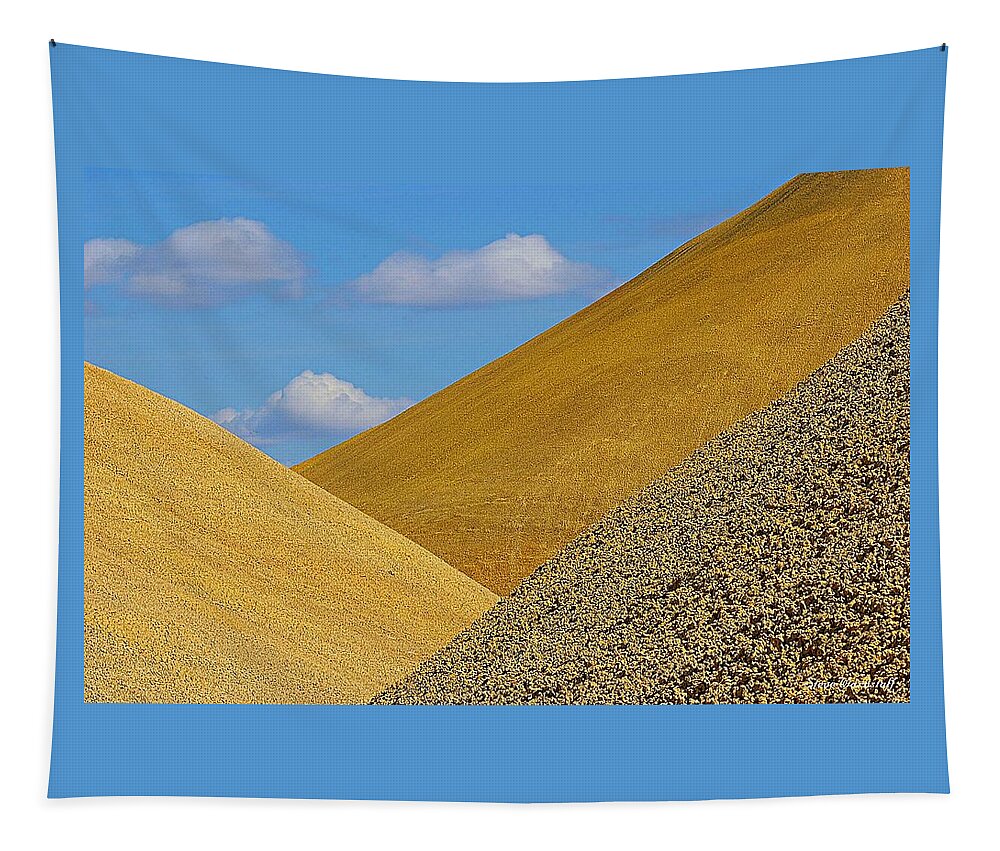 Oregon Tapestry featuring the photograph Triads by Steve Warnstaff