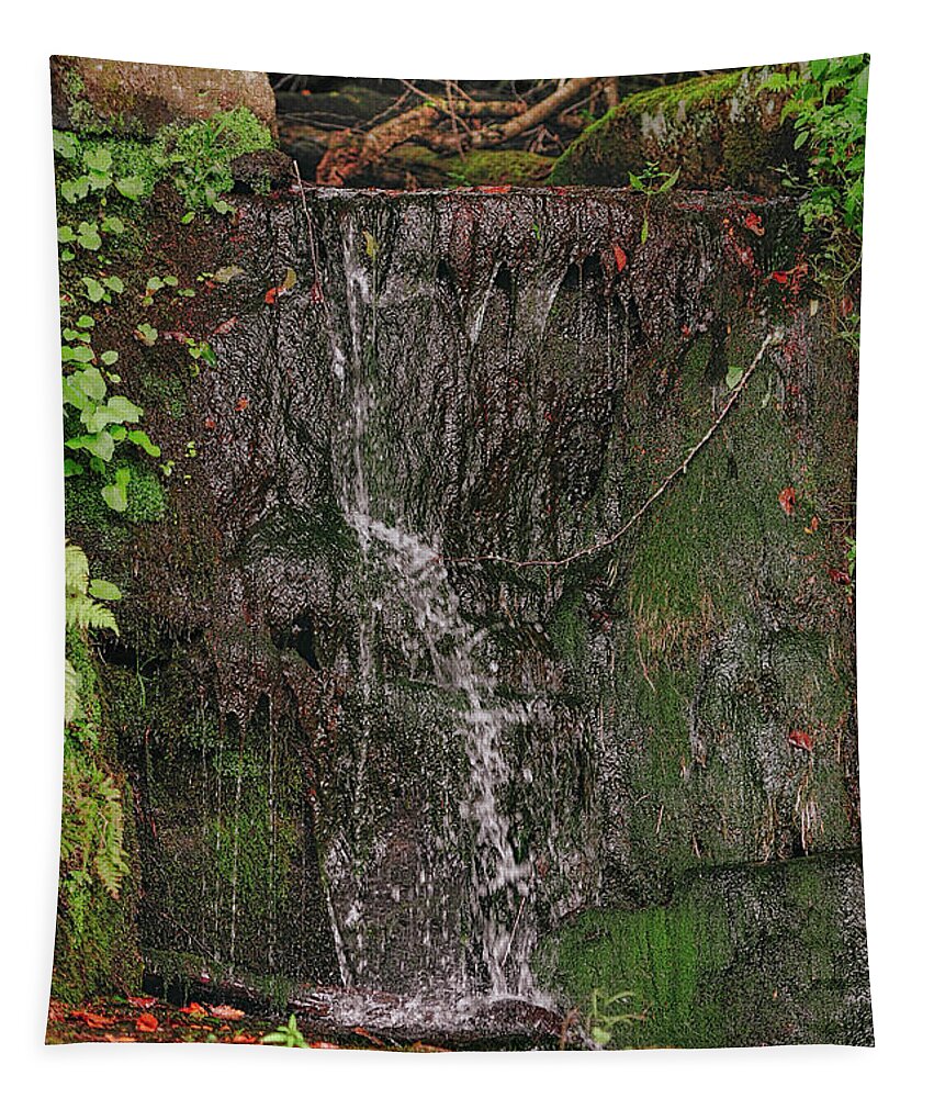 Fly Fishing Tapestry featuring the photograph Trickling Waterfall by Cordia Murphy