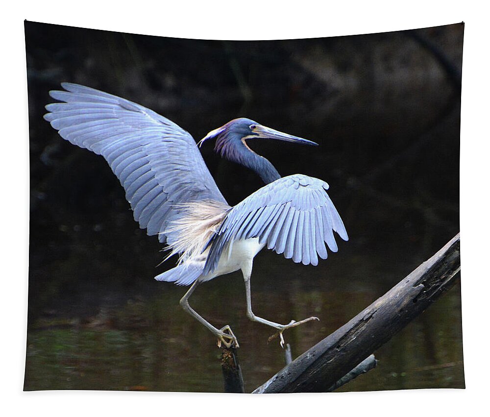Tricolor Heron Tapestry featuring the photograph Tricolor Heron Landing by Jerry Griffin