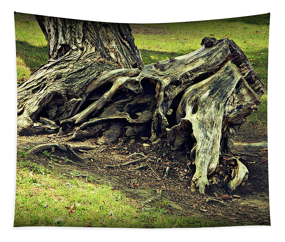 Trunk Intensity Tapestry featuring the photograph Trunk Intensity by Cyryn Fyrcyd