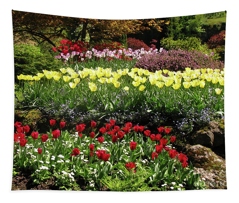 Tulip Gardens Tapestry featuring the photograph Tulip Gardens by Terri Brewster