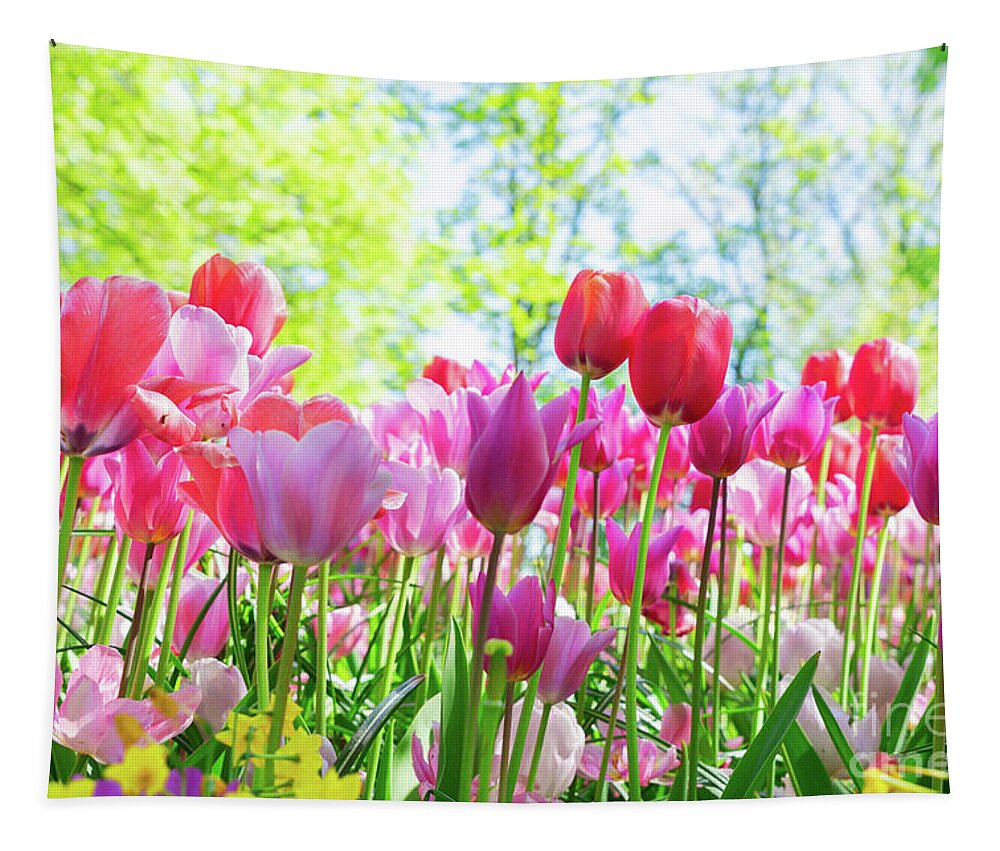 Tulips Tapestry featuring the photograph Tulips Pink Growth by Anastasy Yarmolovich